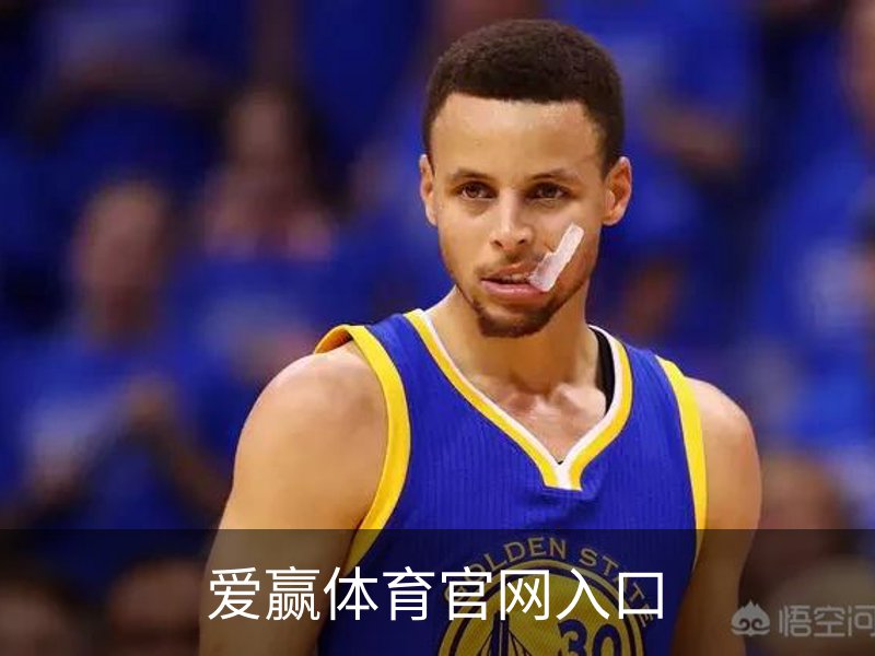 爱赢体育官网入口概况